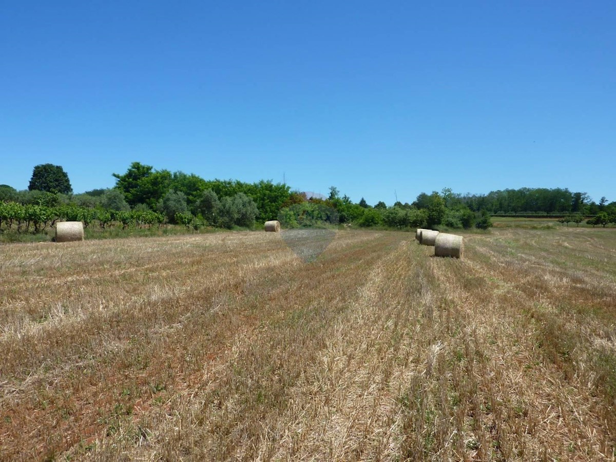 Terreno non edificabile Cerjani, Kaštelir-Labinci, 7.477m2