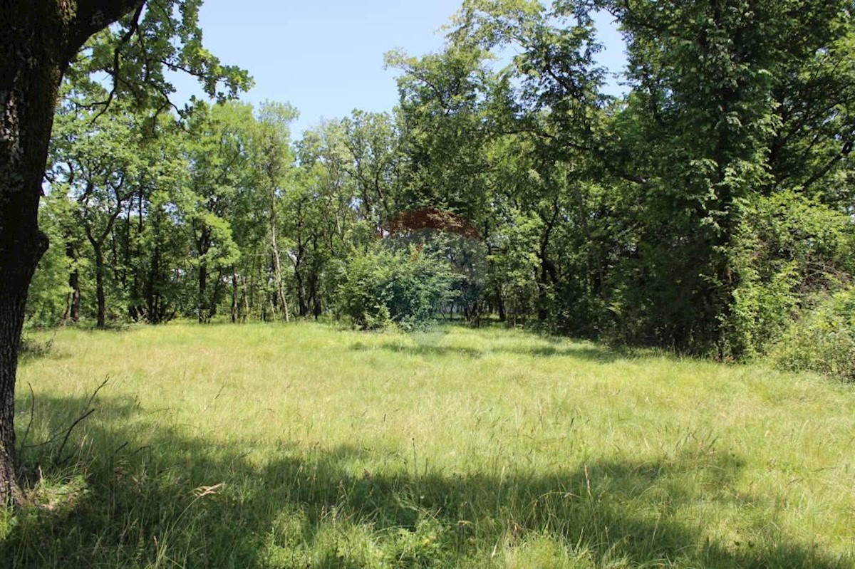 Terreno edificabile Mavrinci, Čavle, 5.065m2