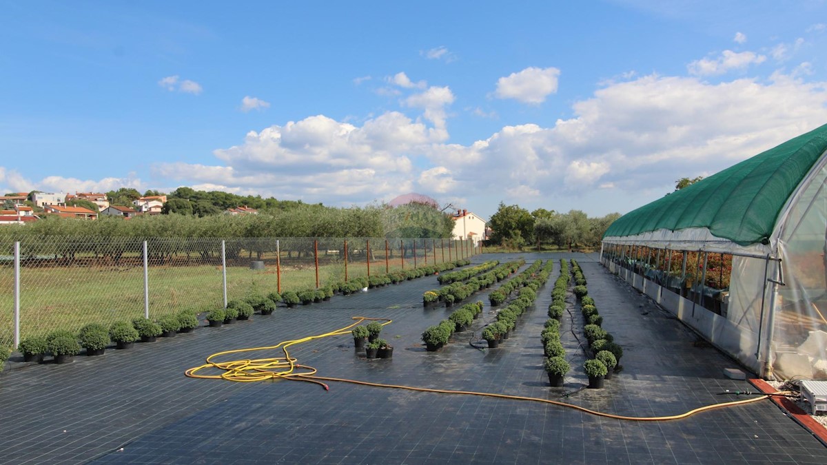 Terreno non edificabile Poreč, 10.197m2