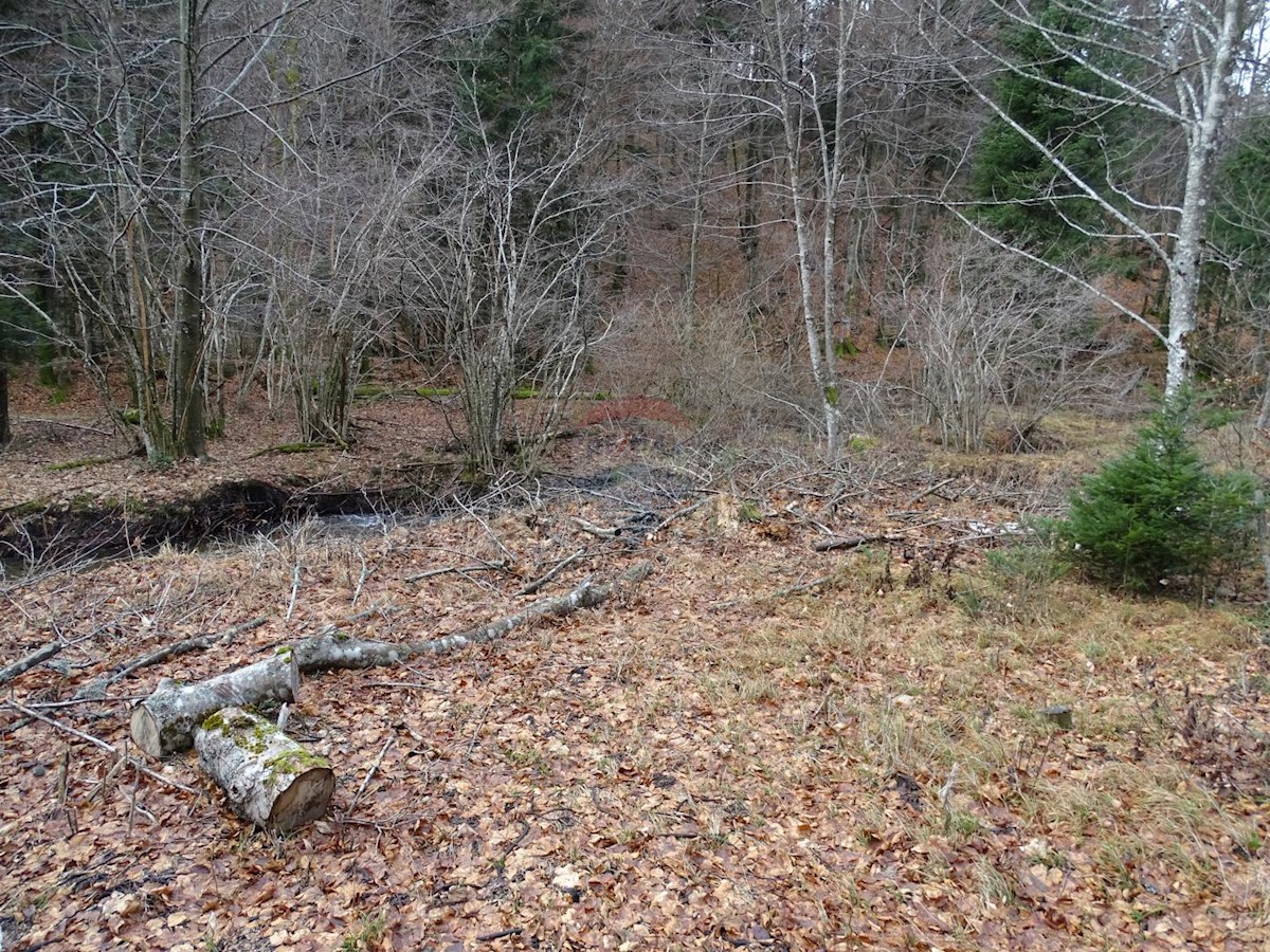 Terreno non edificabile Fužine, 12.682m2