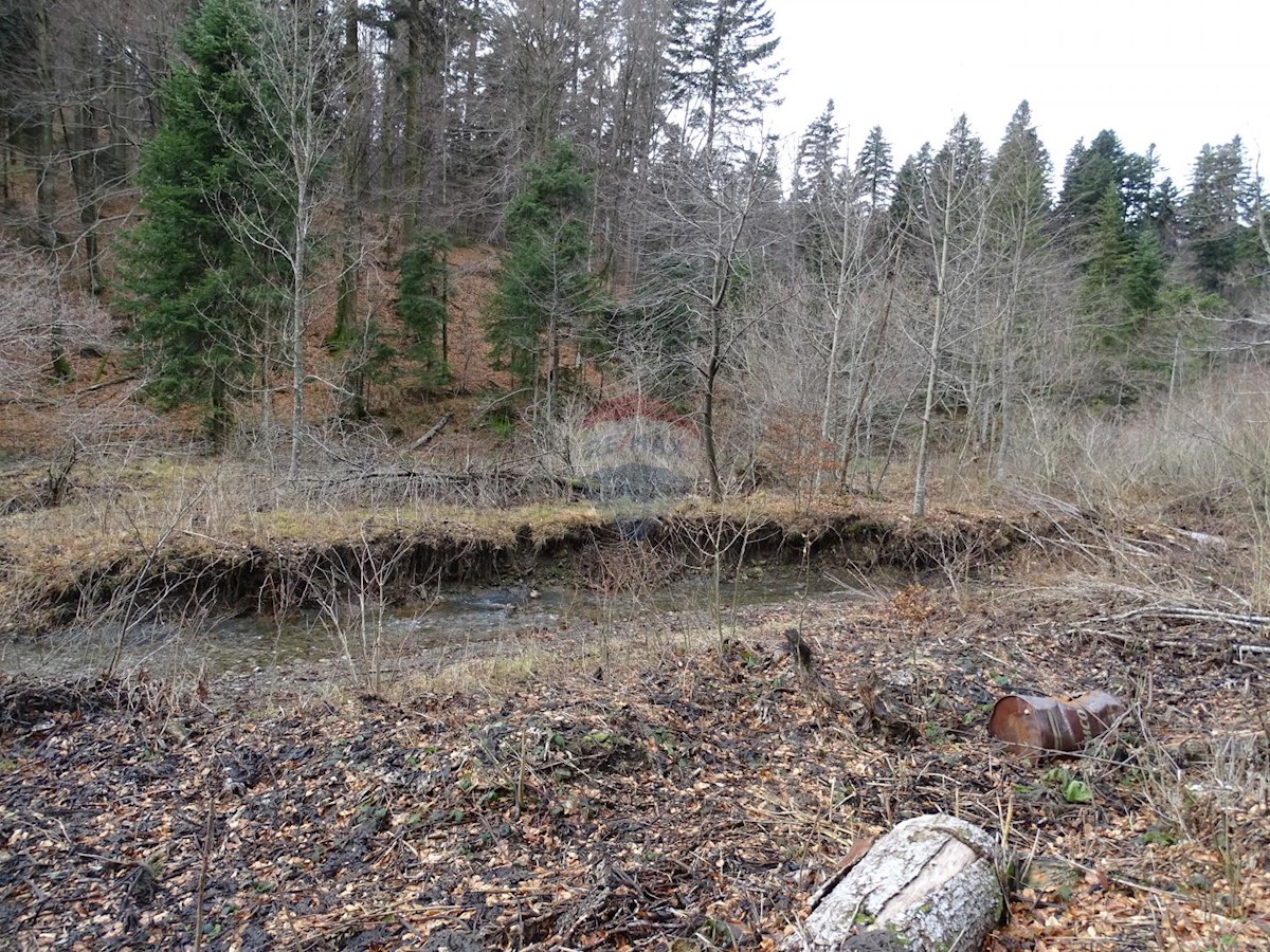 Terreno non edificabile Fužine, 12.682m2