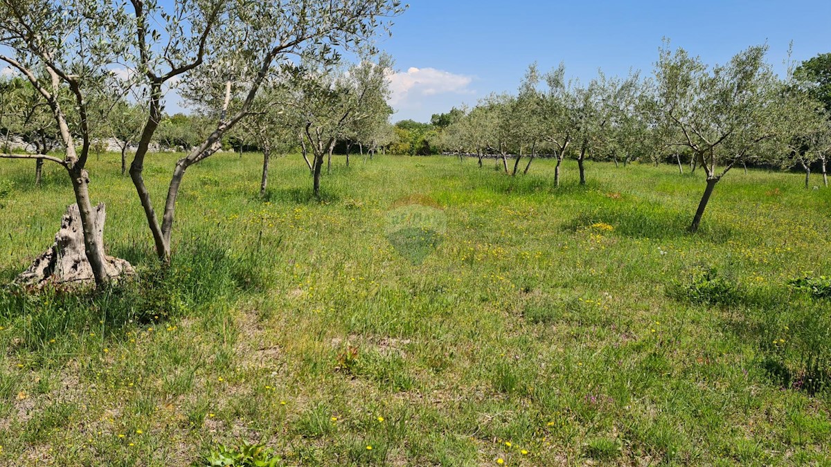 Terreno non edificabile Bale, 13.128m2