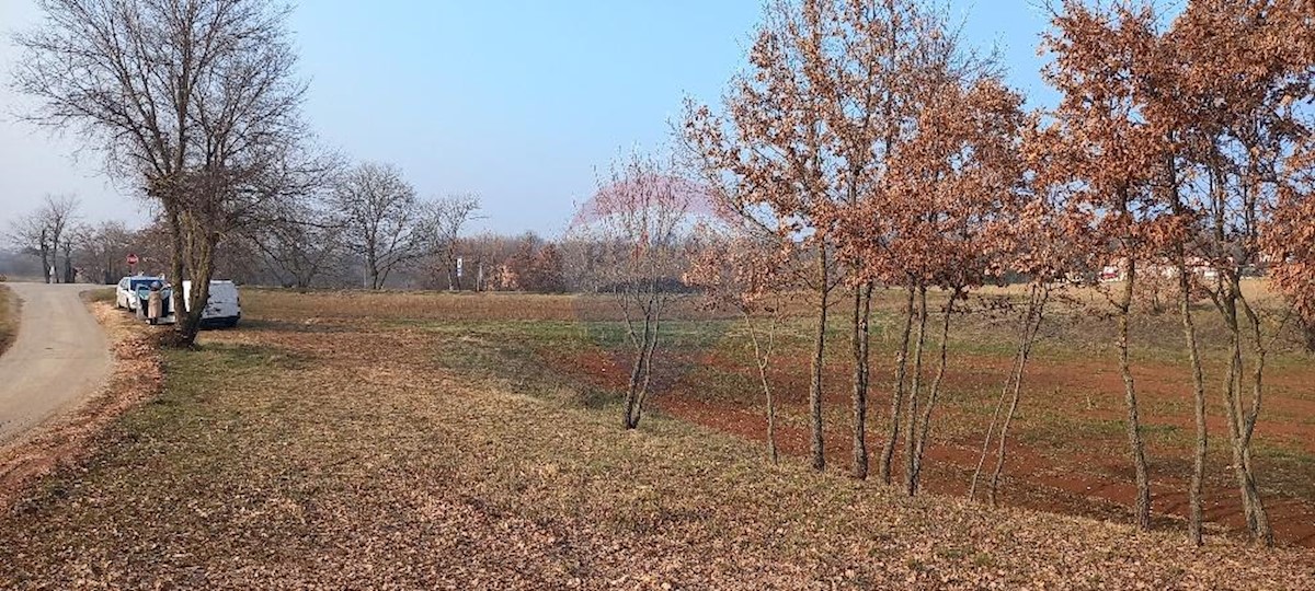 Terreno edificabile Zabrežani, Pazin - Okolica, 9.680m2