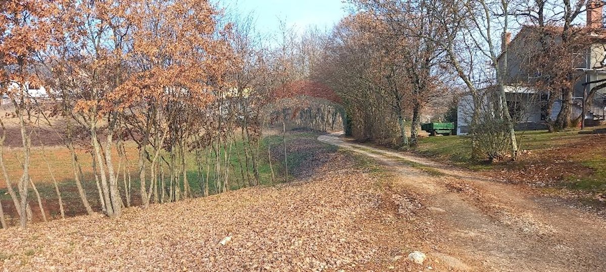 Terreno edificabile Zabrežani, Pazin - Okolica, 9.680m2