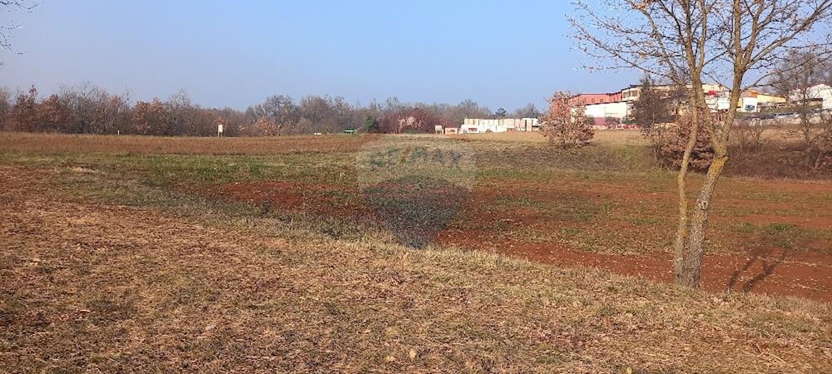 Terreno edificabile Zabrežani, Pazin - Okolica, 9.680m2