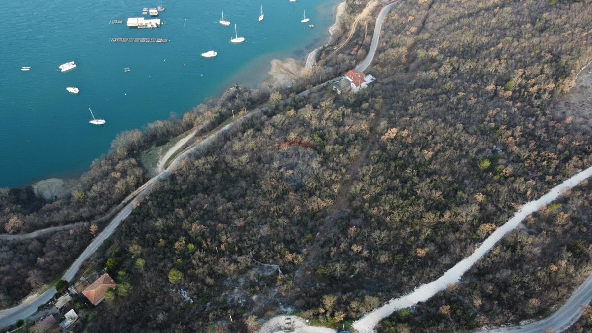 ISTRIA, TRGET – Terreno non edificabile di 14.730 m²
