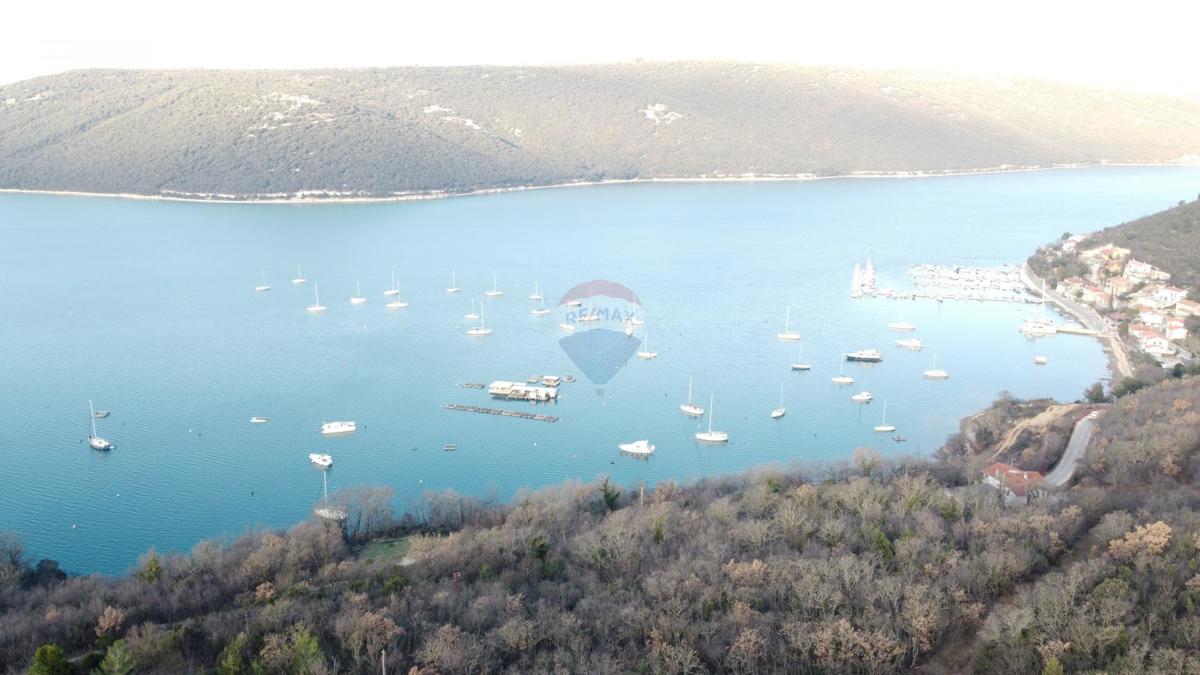 ISTRIA, TRGET – Terreno non edificabile di 14.730 m²
