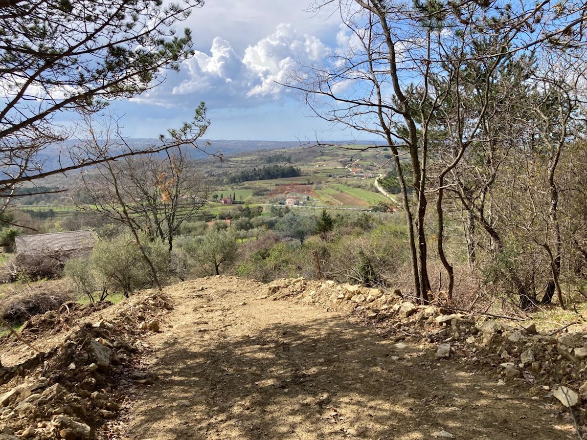 Terreno edificabile Bijele Zemlje, Grožnjan, 1.533m2