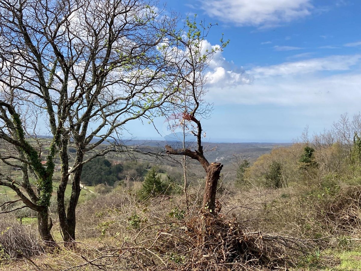 Terreno edificabile Bijele Zemlje, Grožnjan, 1.533m2