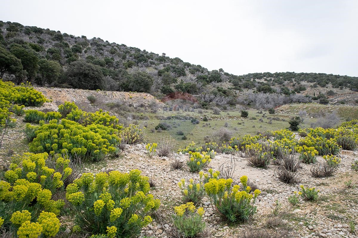 Terreno edificabile Lopar, Rab, 5.288m2