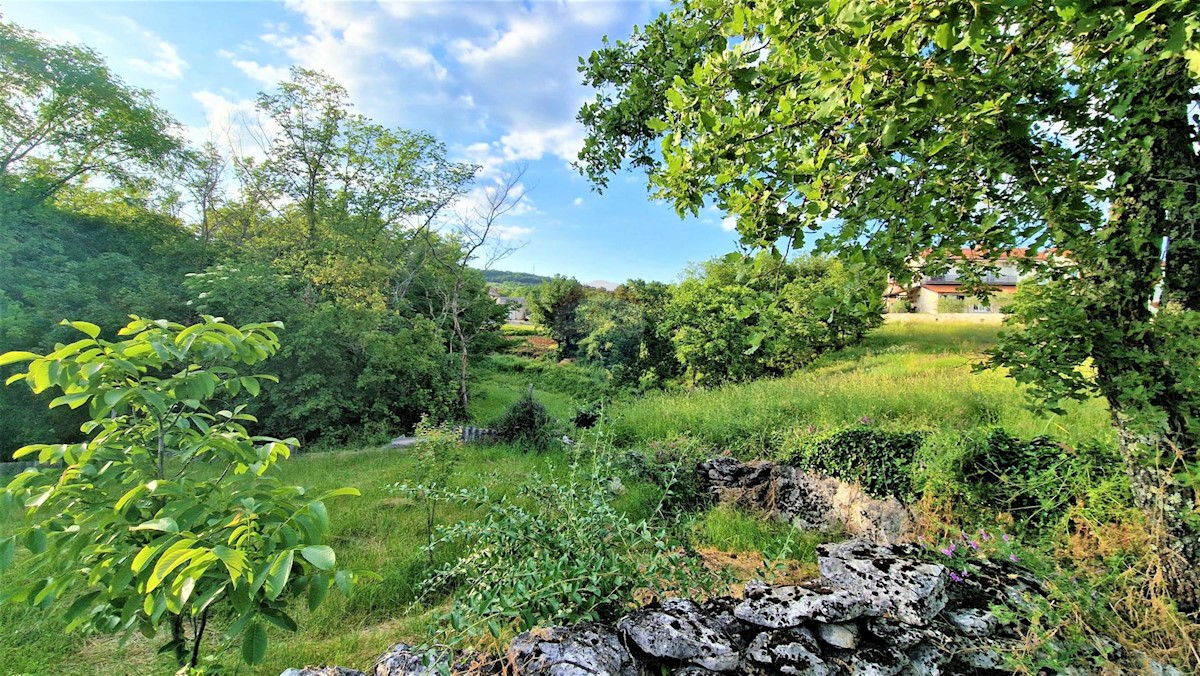 Terreno edificabile Veli Mlun, Buzet, 3.237m2