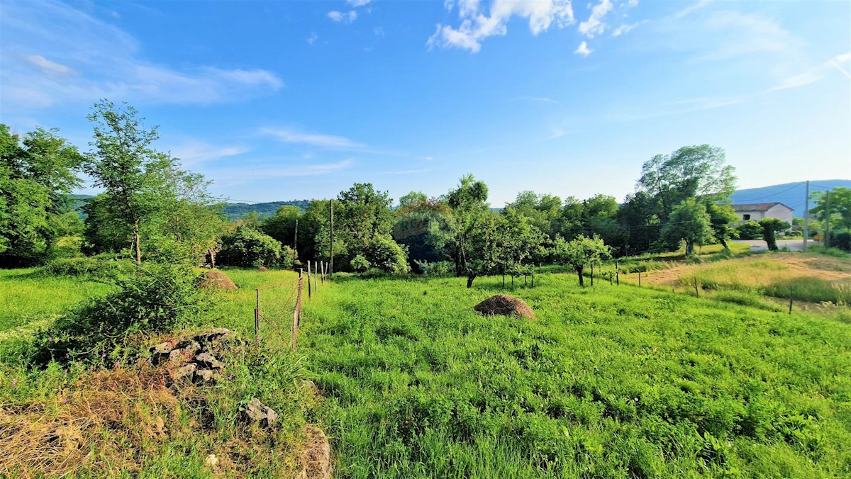 Terreno edificabile Veli Mlun, Buzet, 3.237m2