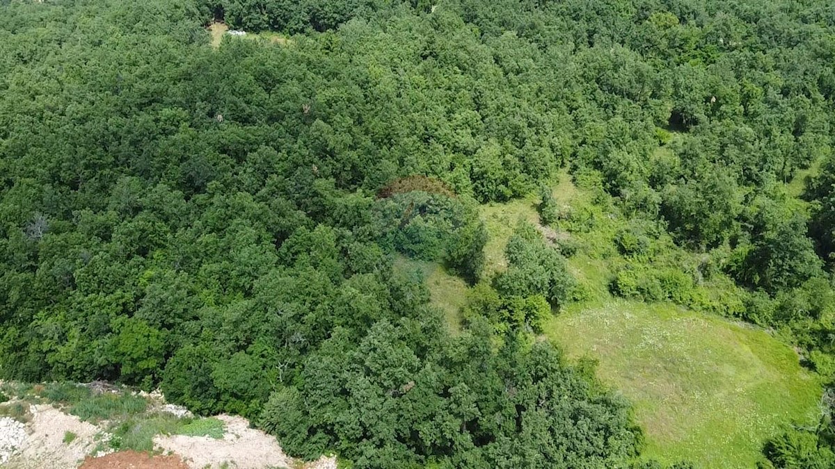 Terreno edificabile Gambetići, Višnjan, 7.375m2