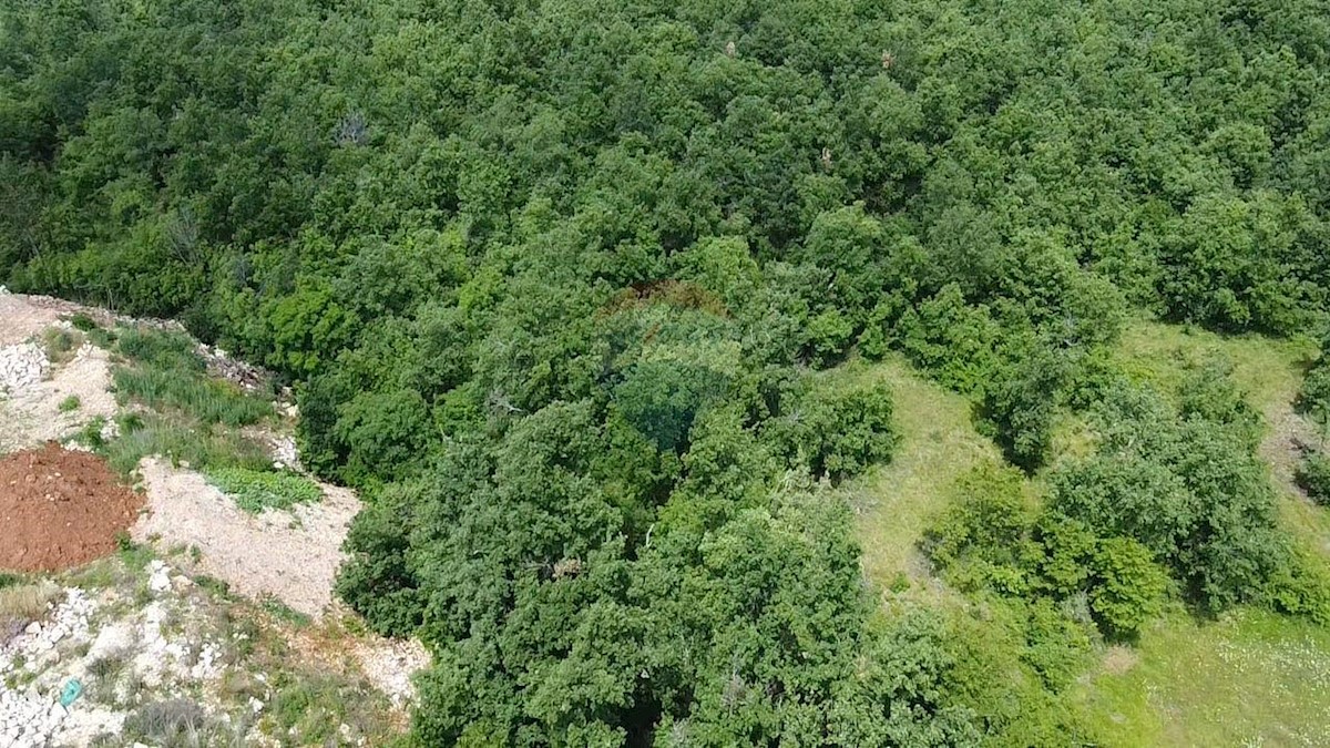 Terreno edificabile Gambetići, Višnjan, 7.375m2
