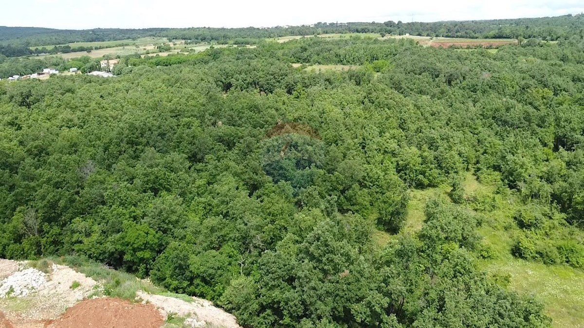 Terreno edificabile Gambetići, Višnjan, 7.375m2