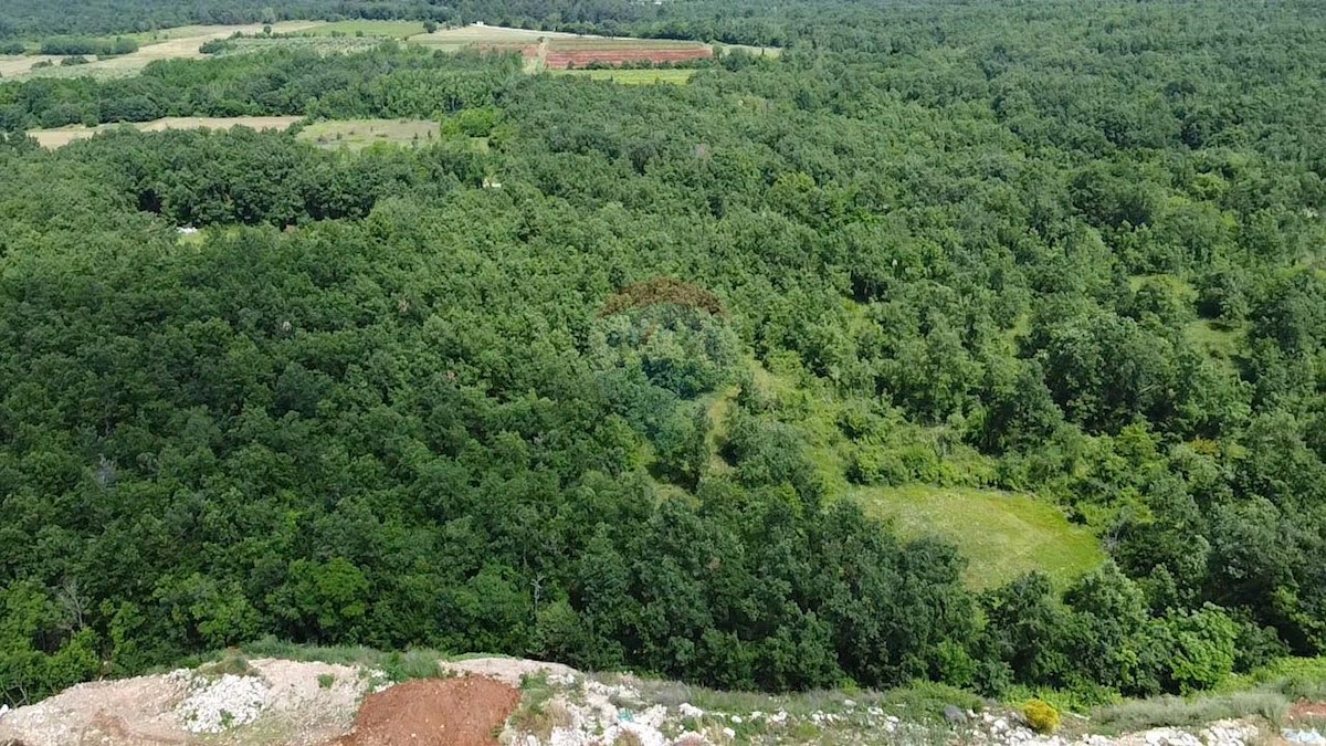Terreno edificabile Gambetići, Višnjan, 7.375m2
