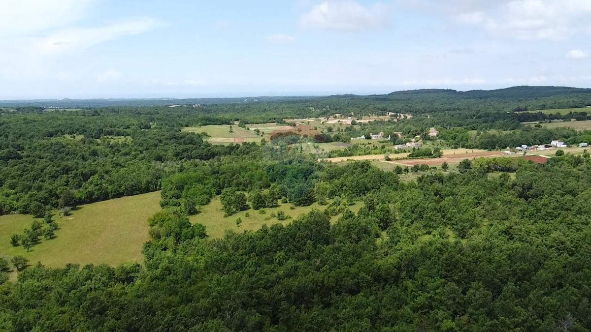 Terreno edificabile Gambetići, Višnjan, 7.375m2