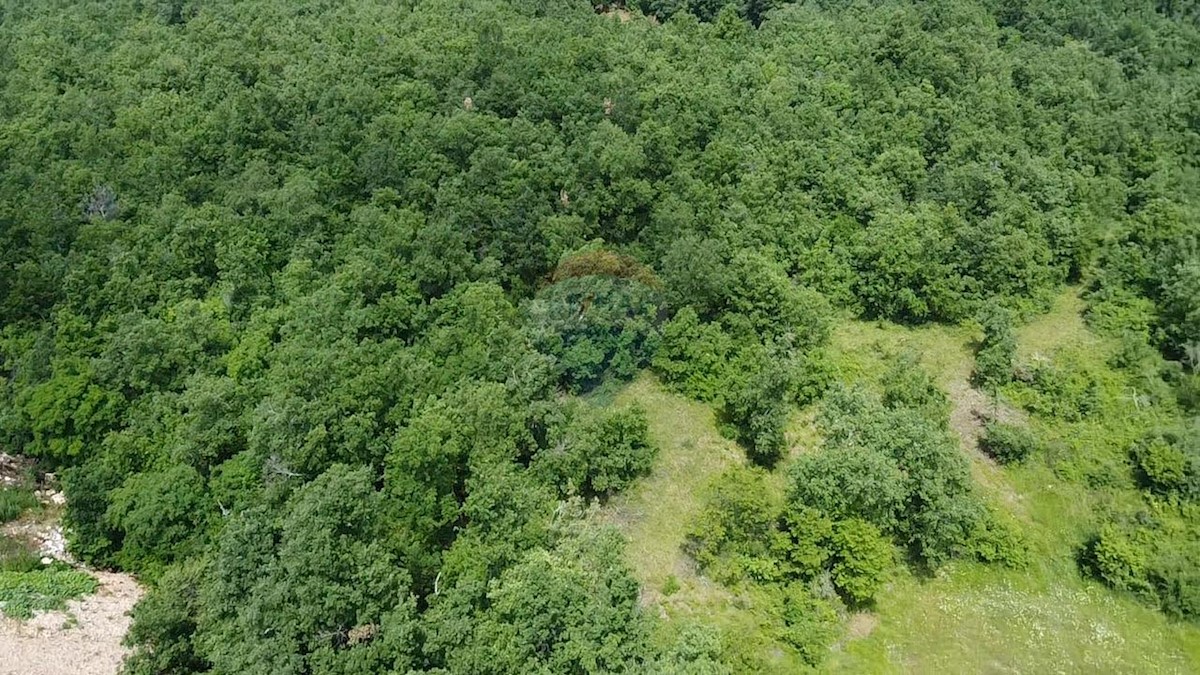 Terreno edificabile Gambetići, Višnjan, 7.375m2