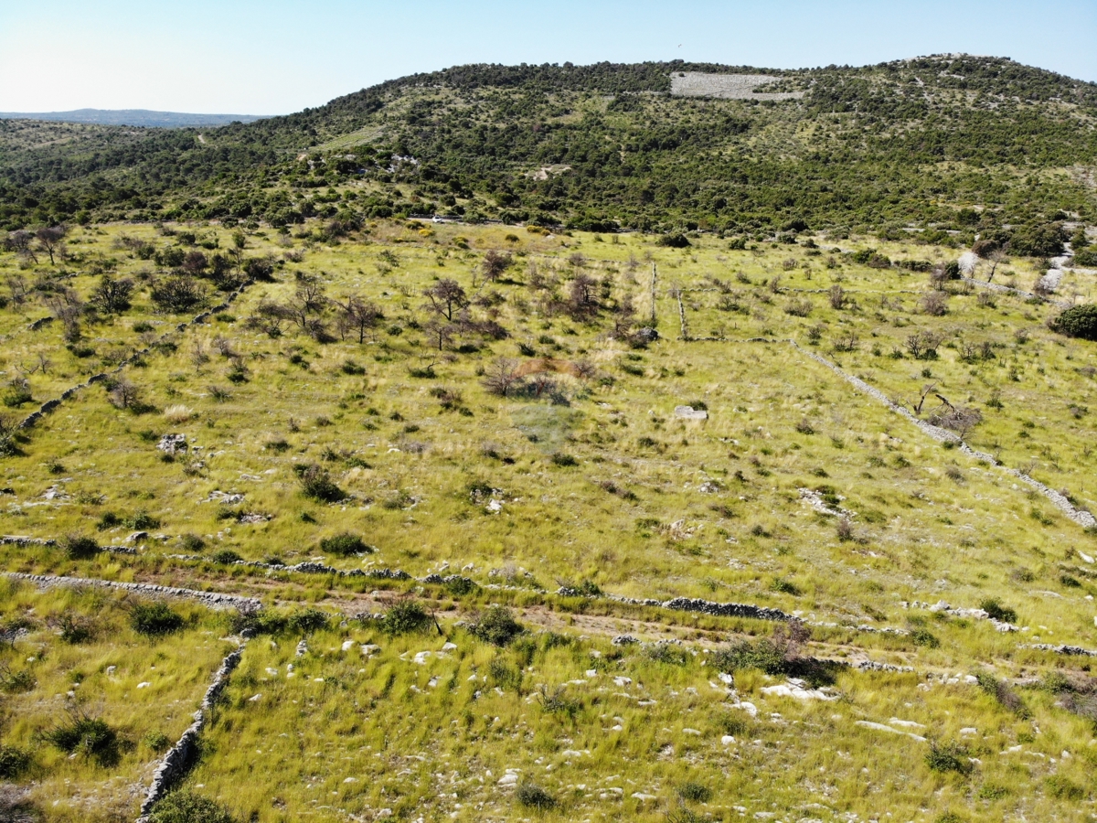 Terreno agricolo con grande potenziale 13010 m2, Primošten