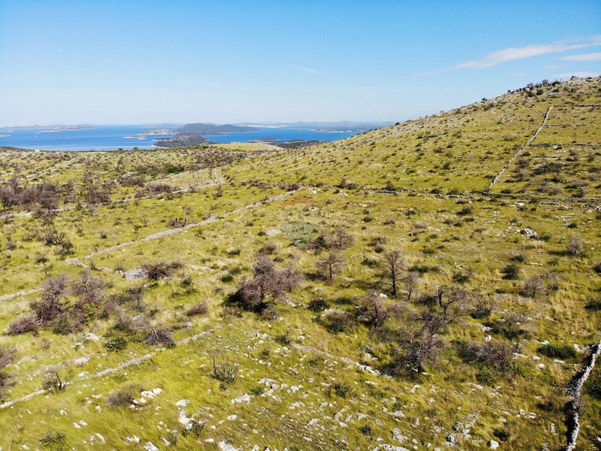 Terreno agricolo con grande potenziale 13010 m2, Primošten