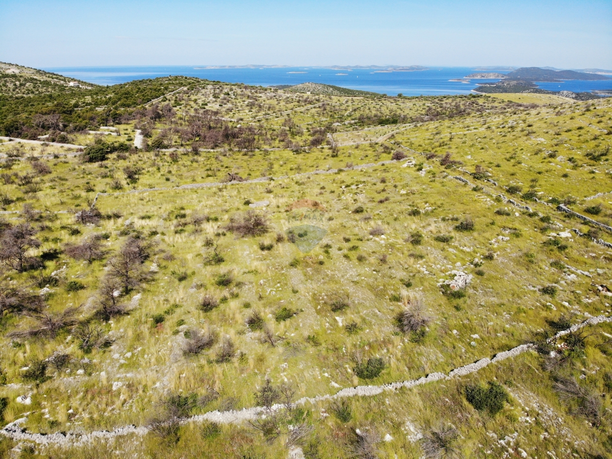 Terreno agricolo con grande potenziale 13010 m2, Primošten