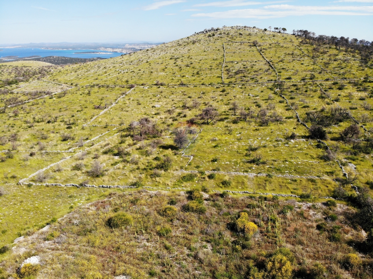 Terreno agricolo con grande potenziale 13010 m2, Primošten