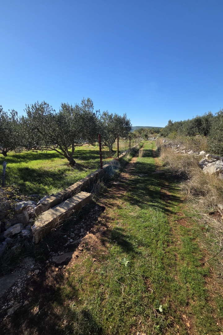 Terreno Dubrava Kod Šibenika, Šibenik - Okolica, 1.167m2