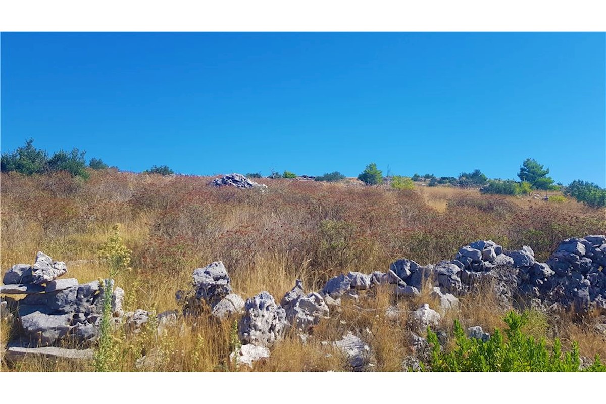 Terreno Primošten Burnji, Primošten, 16.932m2