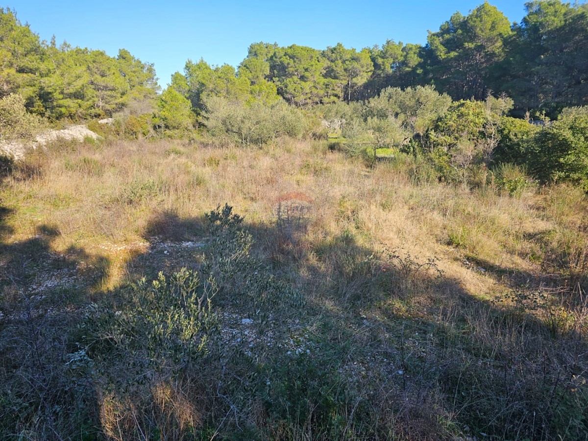 Terreno Zablaće, Šibenik - Okolica, 913m2