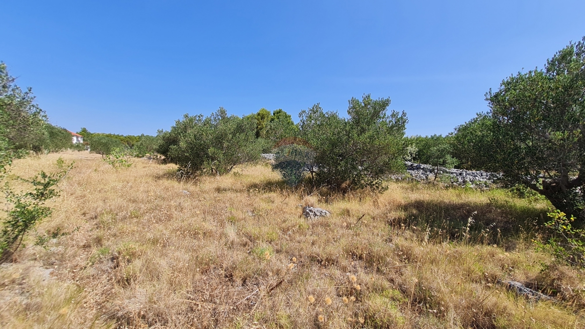 Terreno Brodarica, Šibenik - Okolica, 1.973m2