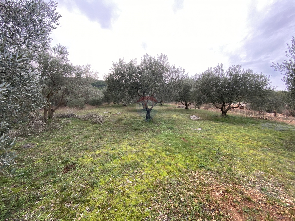 Terreno Bilice, Šibenik - Okolica, 1.396m2