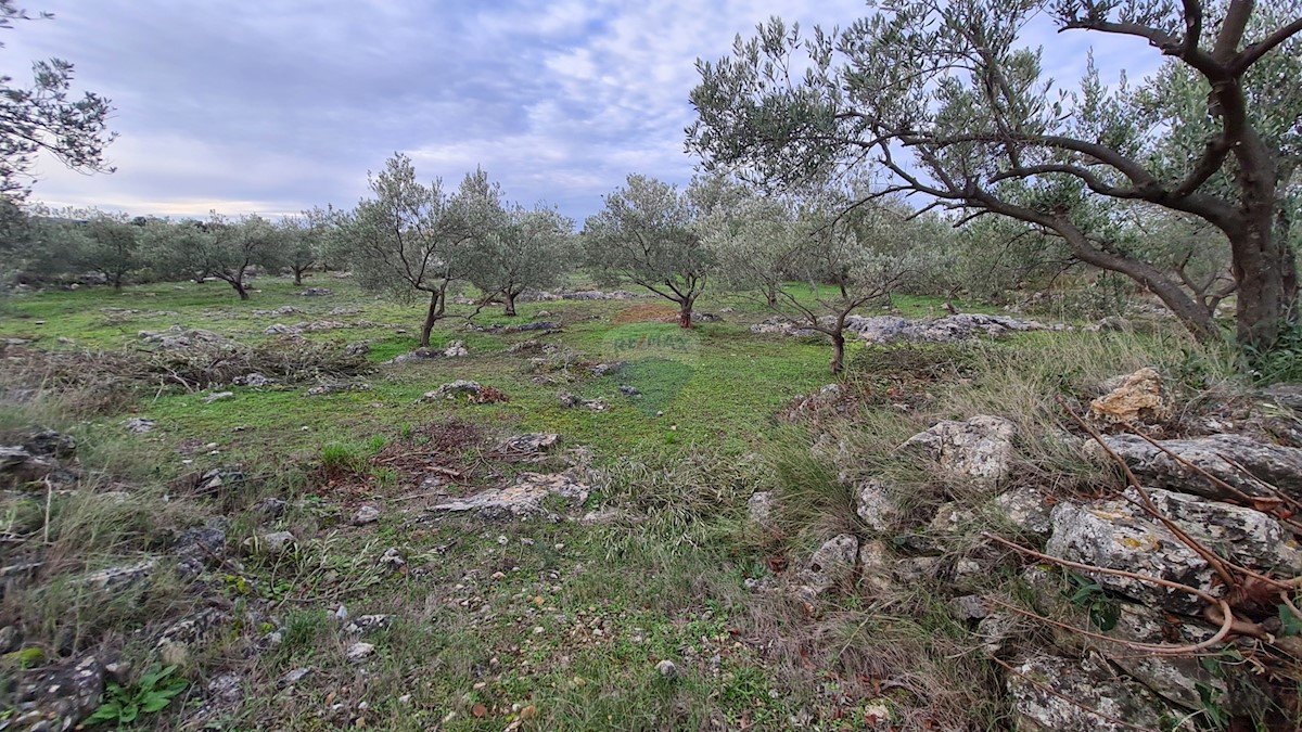 Terreno Zaton, Šibenik - Okolica, 3.189m2