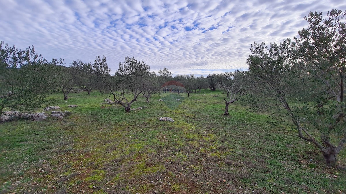 Terreno Zaton, Šibenik - Okolica, 3.189m2