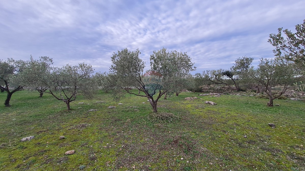 Terreno Zaton, Šibenik - Okolica, 3.189m2