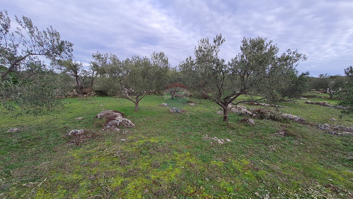 Terreno Zaton, Šibenik - Okolica, 3.189m2