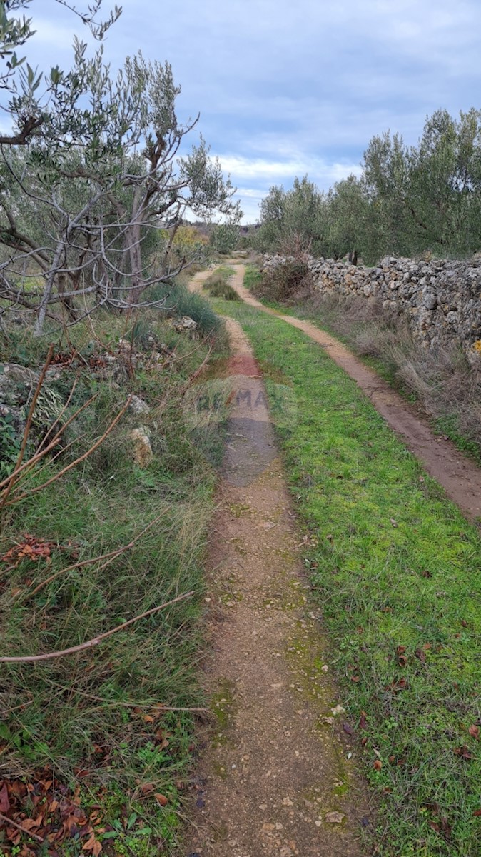 Terreno Zaton, Šibenik - Okolica, 3.189m2