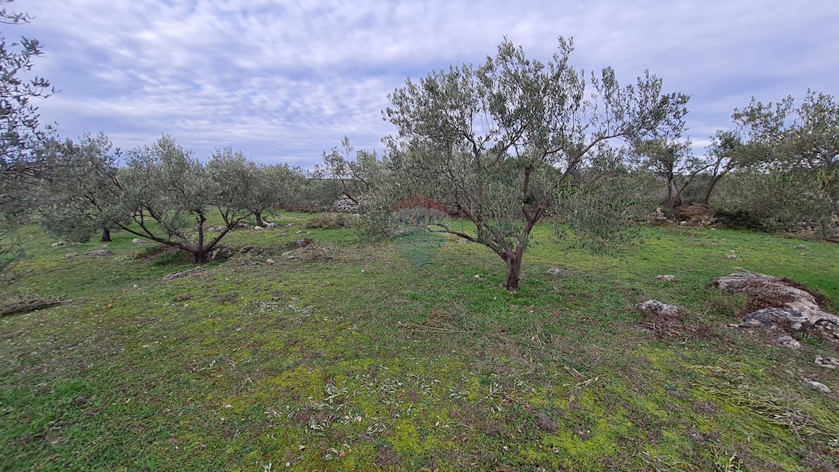 Terreno Zaton, Šibenik - Okolica, 3.189m2