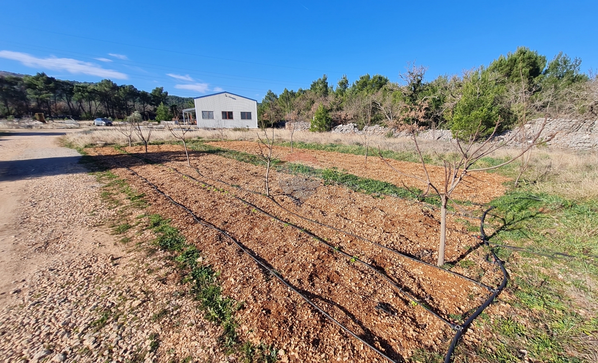 Terreno Dubrava Kod Šibenika, Šibenik - Okolica, 12.074m2