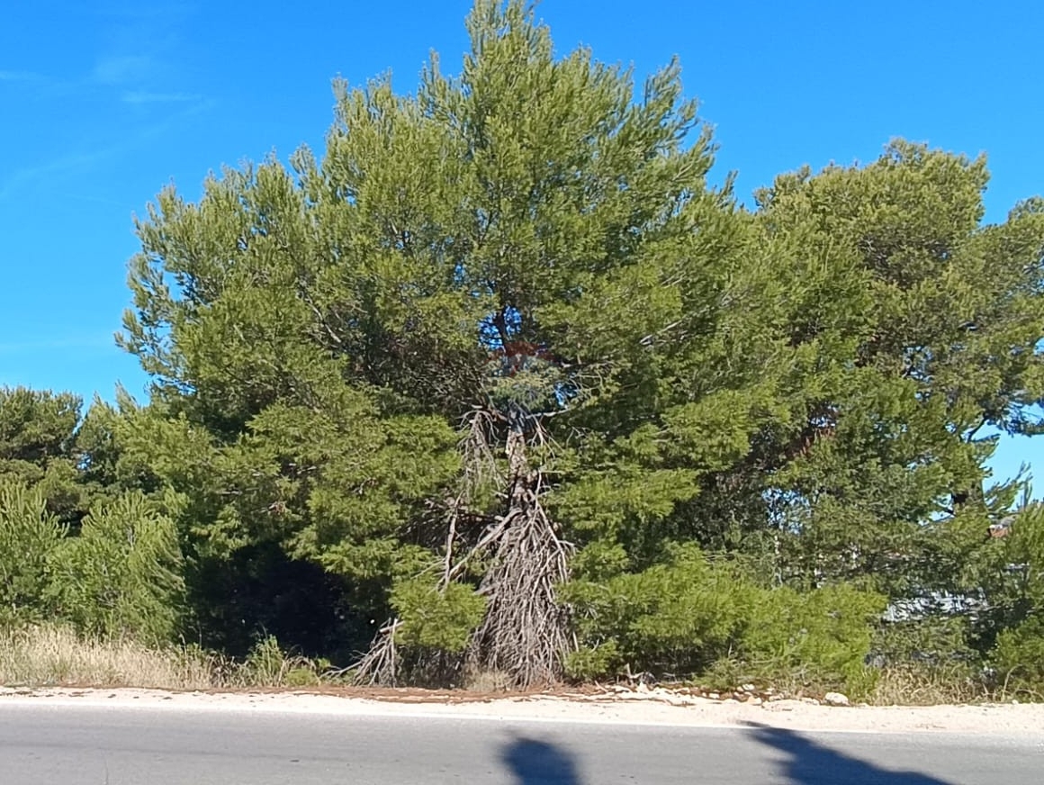 Terreno Mandalina, Šibenik, 1.300m2