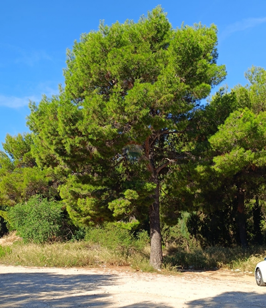 Terreno Mandalina, Šibenik, 1.300m2