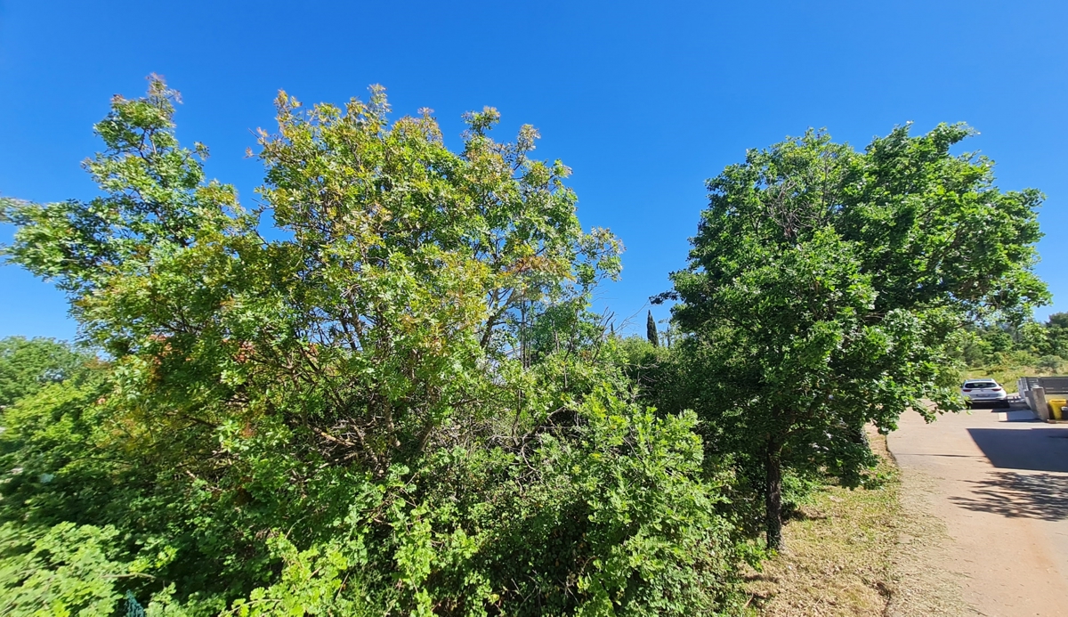 Terreno Bilice, Šibenik - Okolica, 922m2