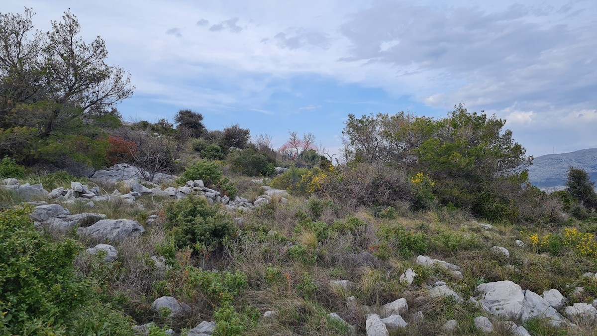 Terreno Dubrava Kod Šibenika, Šibenik - Okolica, 47.114m2