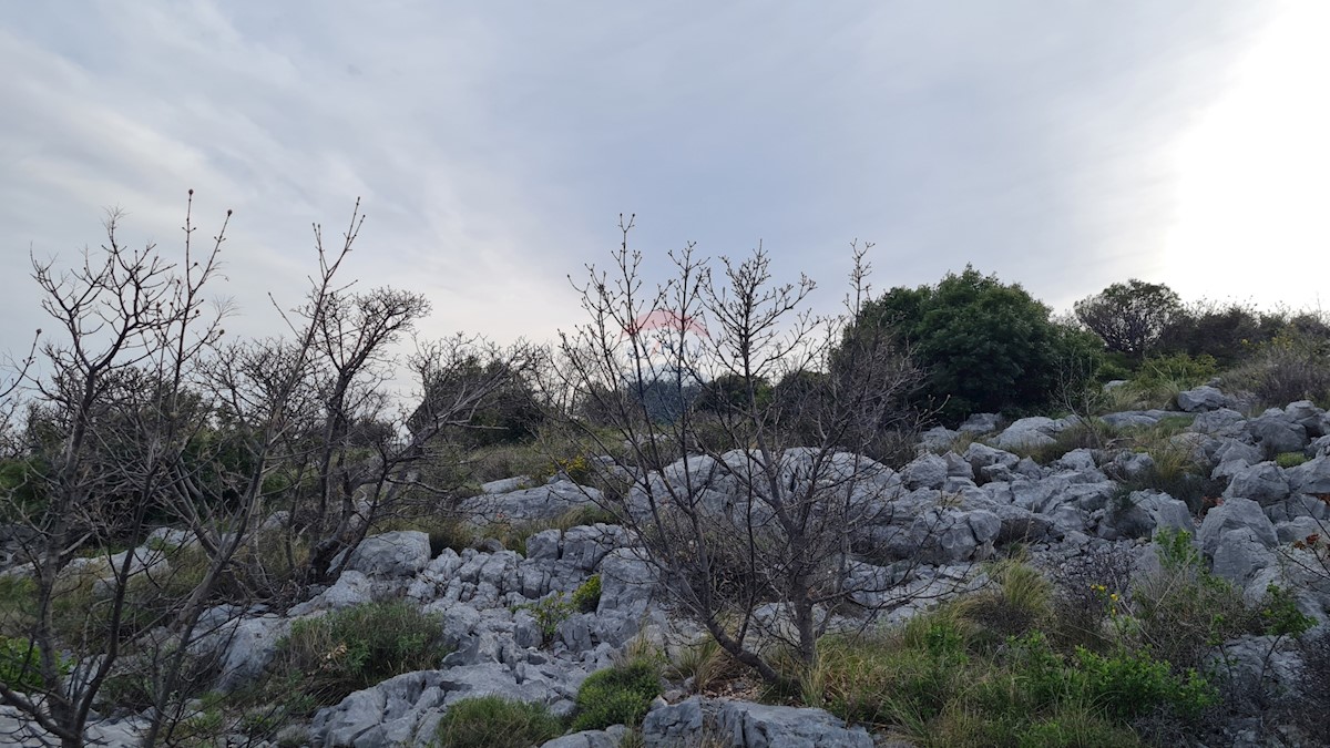 Terreno Dubrava Kod Šibenika, Šibenik - Okolica, 47.114m2