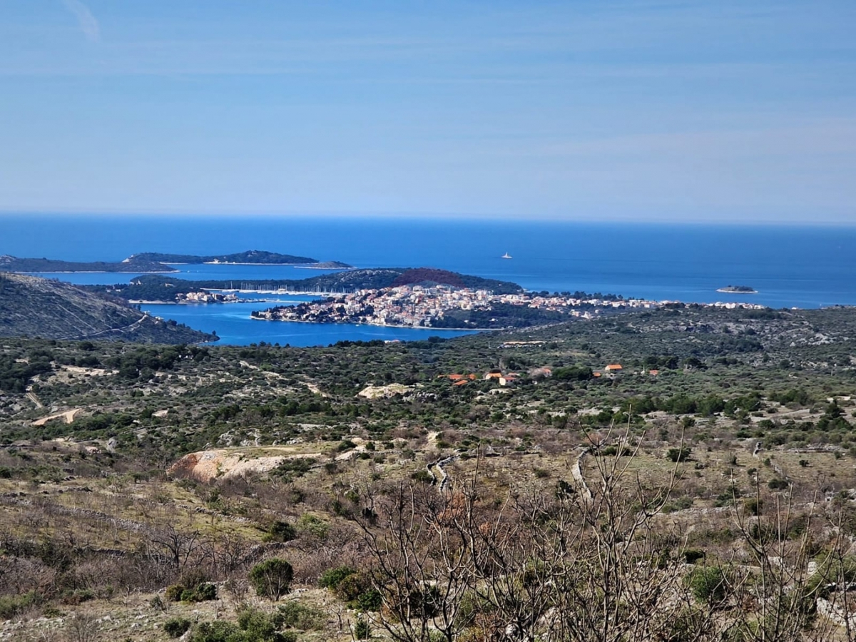 Terreno agricolo con vista mare