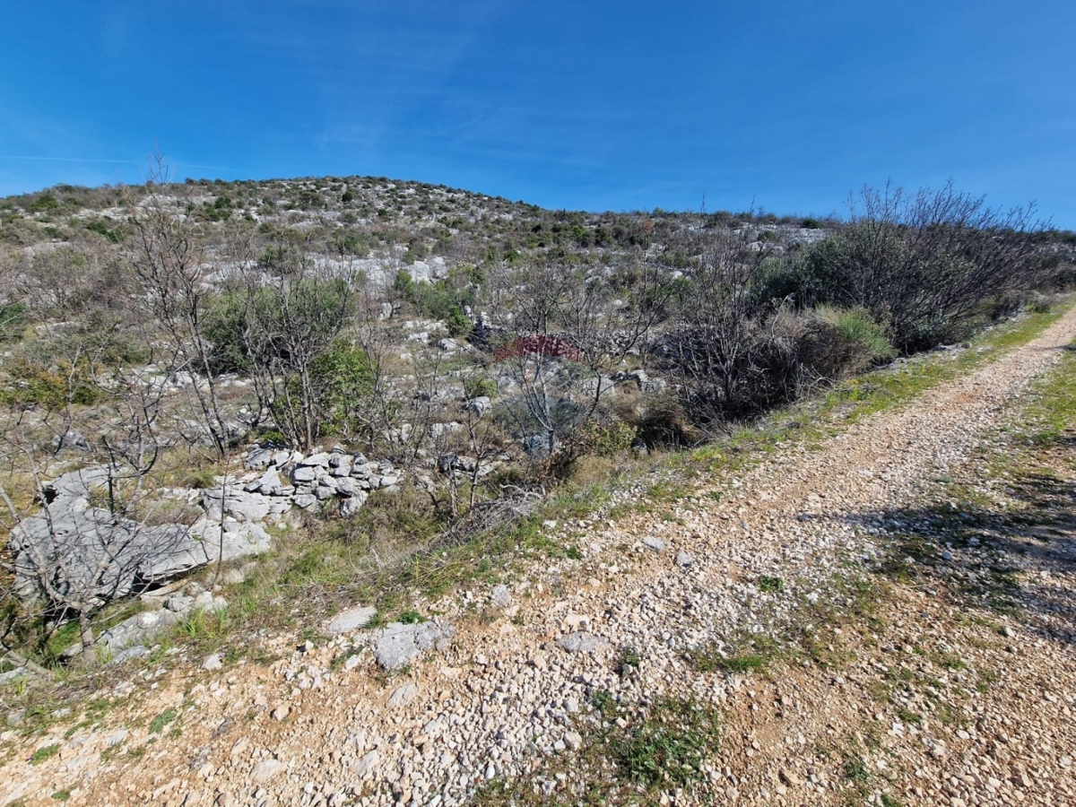 Terreno agricolo con vista mare