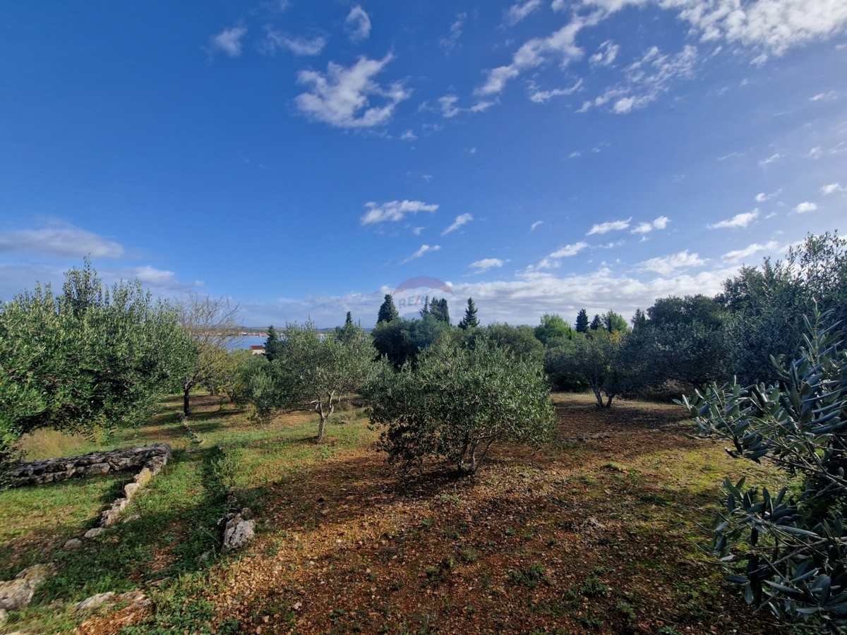 Terreno Prvić Šepurine, Vodice, 700m2