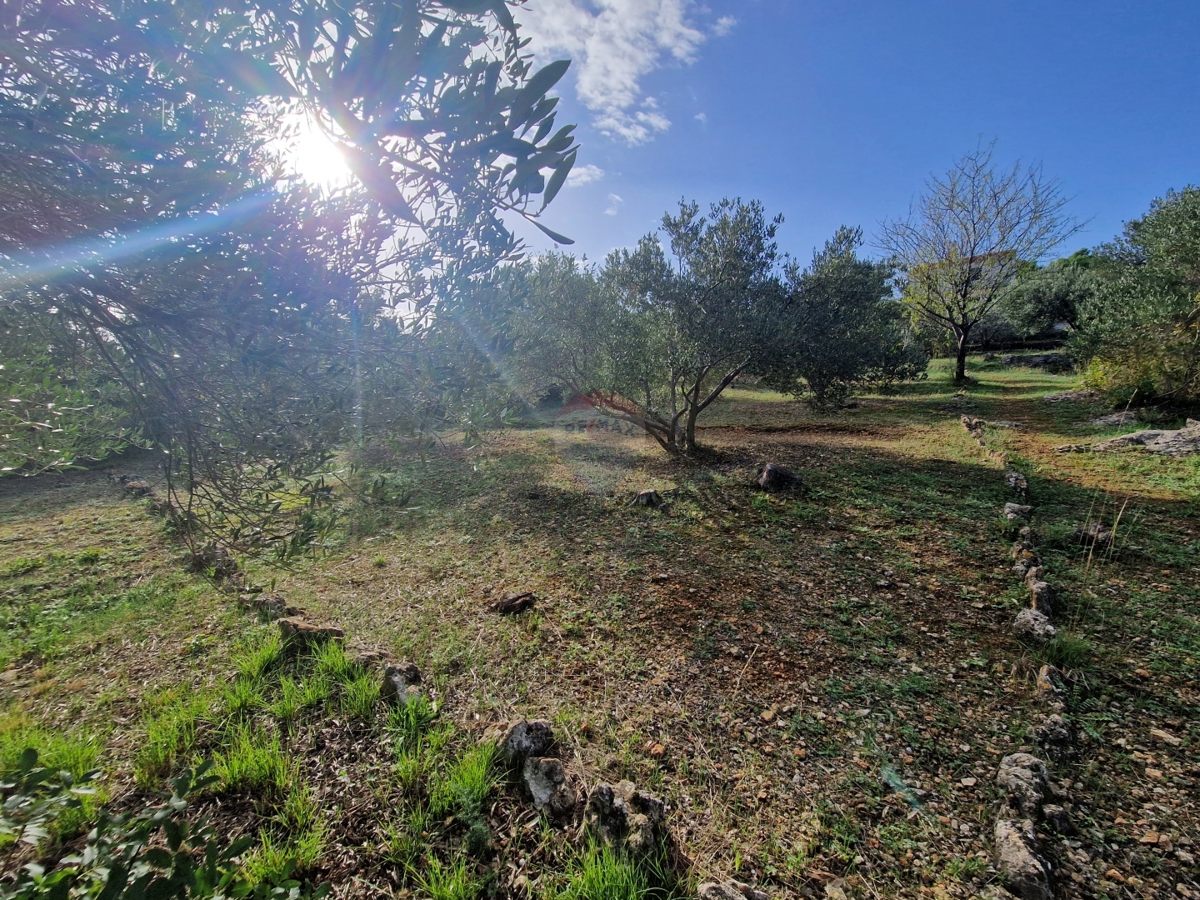 Terreno Prvić Šepurine, Vodice, 700m2