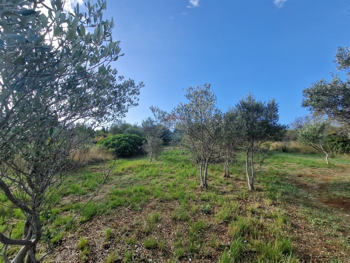 Terreno Prvić Šepurine, Vodice, 700m2