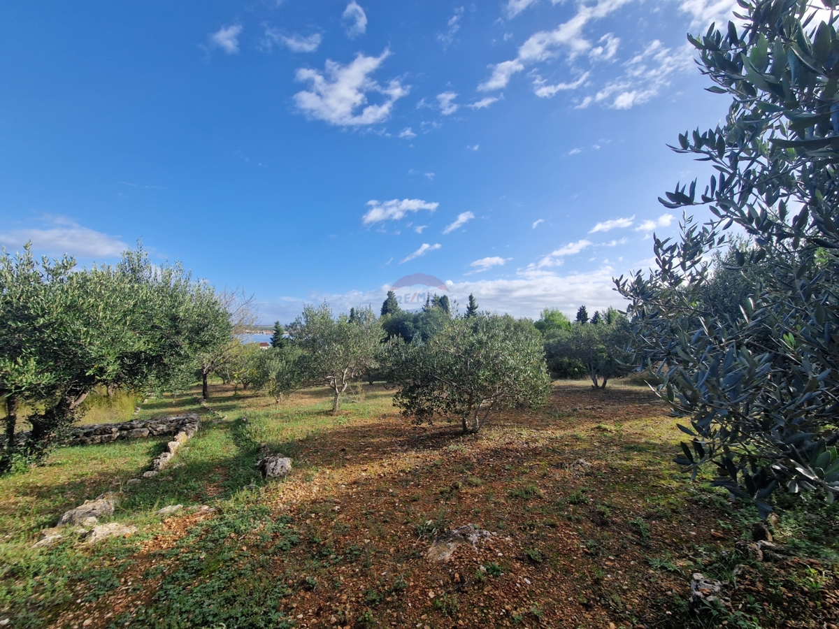 Terreno Prvić Šepurine, Vodice, 700m2