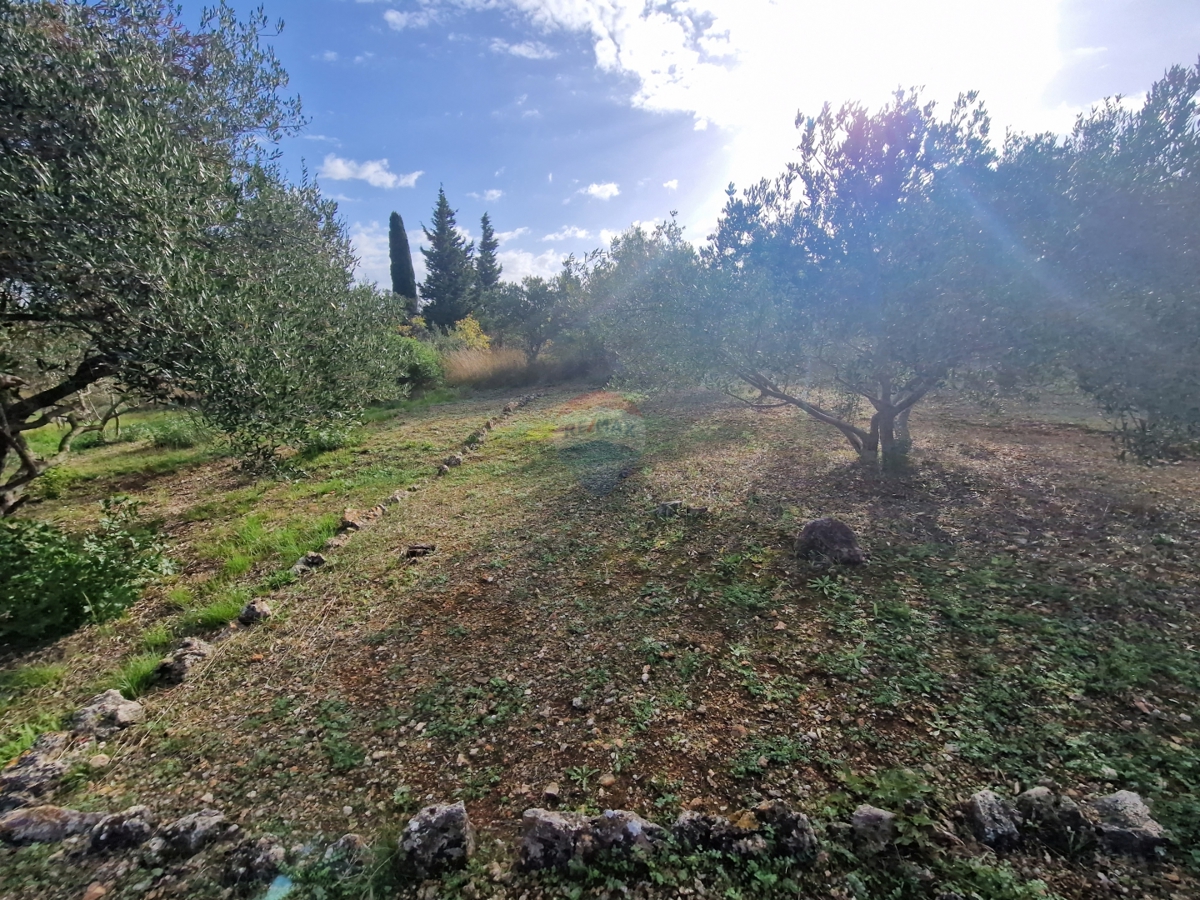 Terreno Prvić Šepurine, Vodice, 700m2